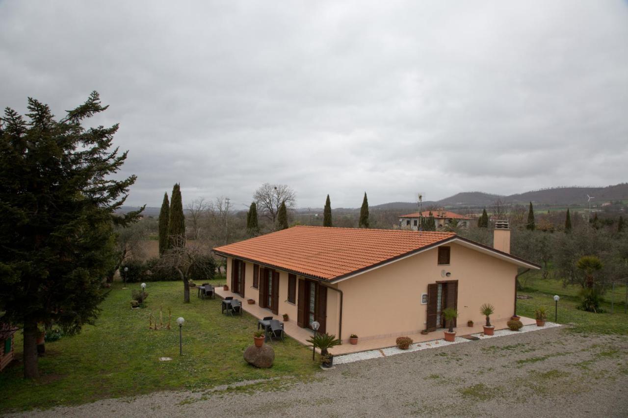 Agriturismo La Piantata 博尔塞纳 外观 照片